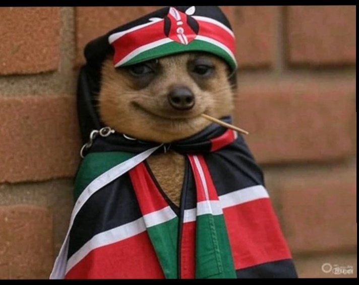 Jontemunkin's tweet photo. Dugu zetu wa TZ Sisi wote ni madugu kwenye huu mtiririko wa chan #RutoMustGo ulikuwa Tu kasoro Yake huyo jamaa wa musti goo #RutoMustGo https://t.co/qZ2QkTYfy6