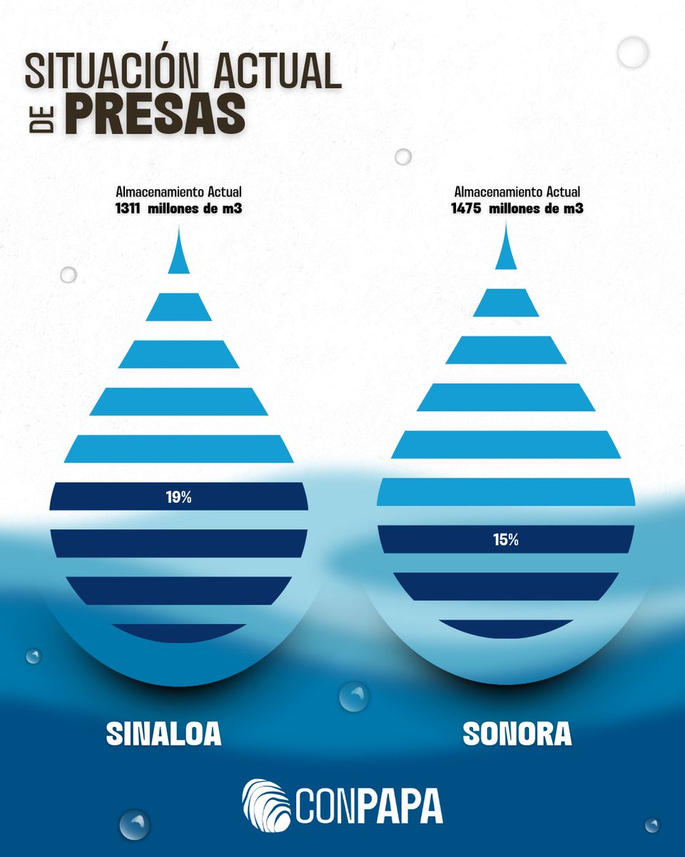 Actualización semanal del agua en presas

Del 13 al 19 de agosto, te compartimos los niveles de almacenamiento de las principales presas de Sonora y Sinaloa.

🔎 Consulta los datos completos en nuestro boletín 👉 bit.ly/3J5aUUo

#ConPapa #PapaMexicana #Presas #Agua