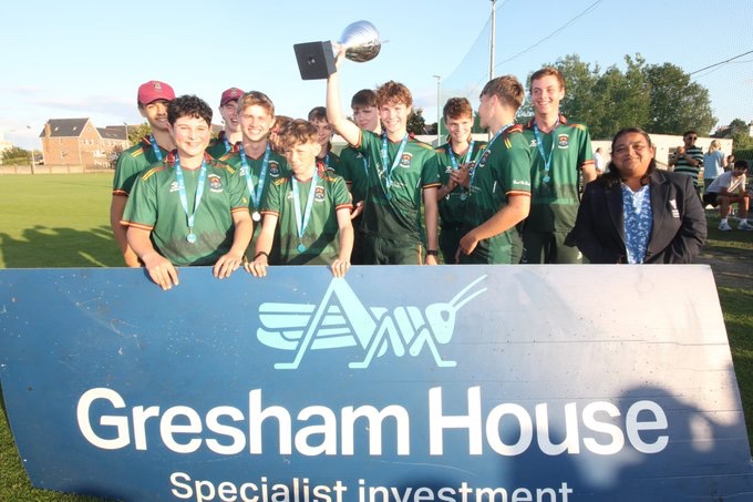 Cricket Leinster tweet media