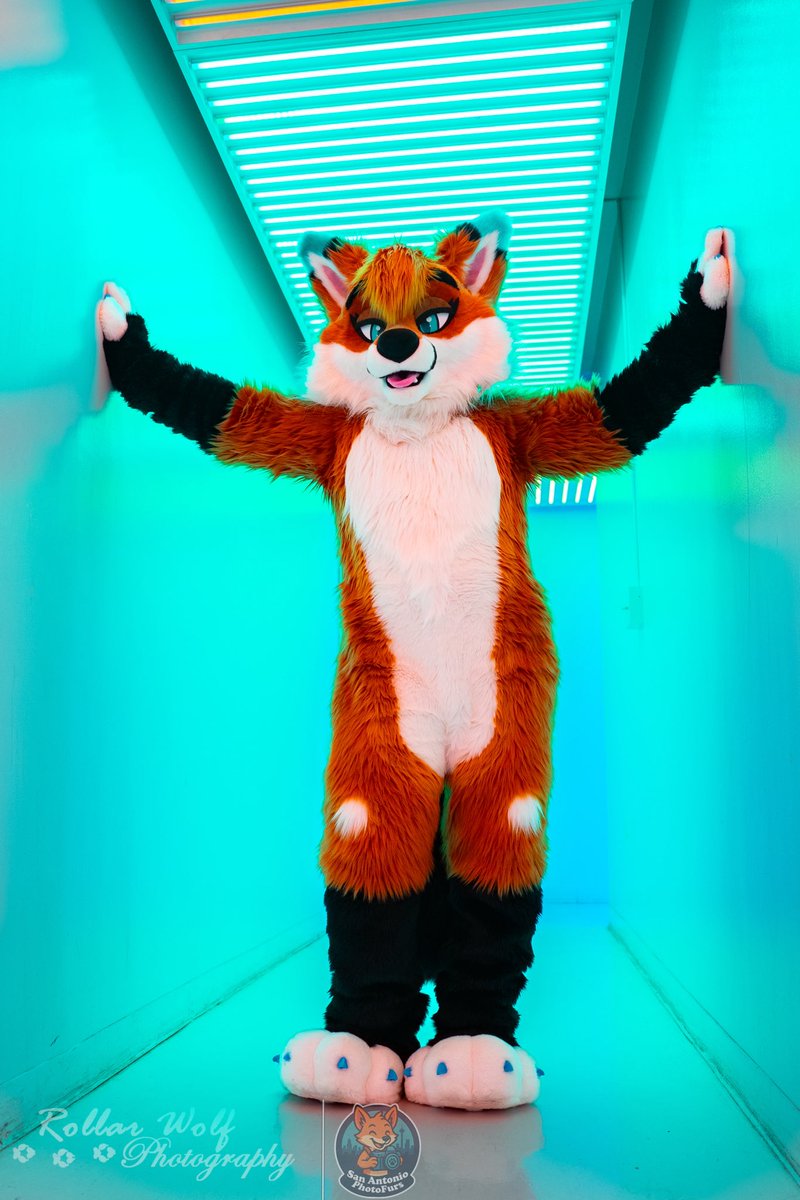 Fancy seeing you here for #FursuitFriday 

📸<a href="/rollarwolf/">Rollar Wolf</a>