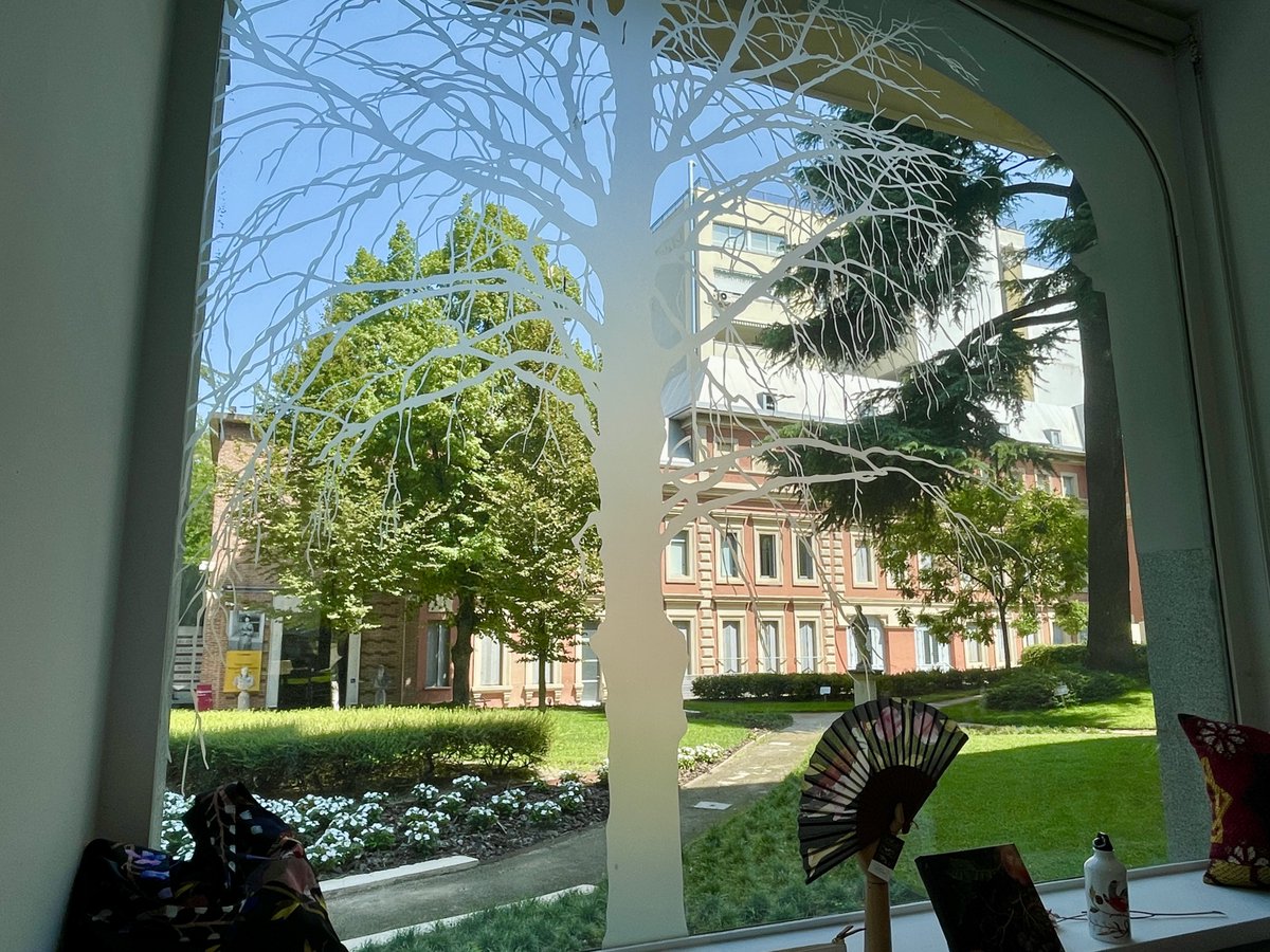 En el Museo Lázaro Galdiano había una haya roja centenaria, plantada por orden del propio Lázaro frente al torreón donde instaló su despacho. El árbol en 2008 enfermó y hubo que talarlo. En el cristal de la ventana de la planta baja del torreón continúan reflejándose sus  ramas.