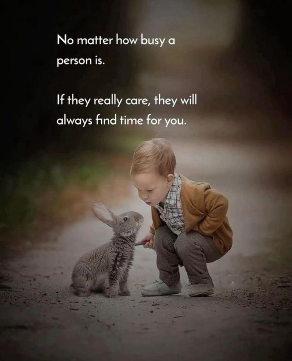 Kylie Riordan tweet media