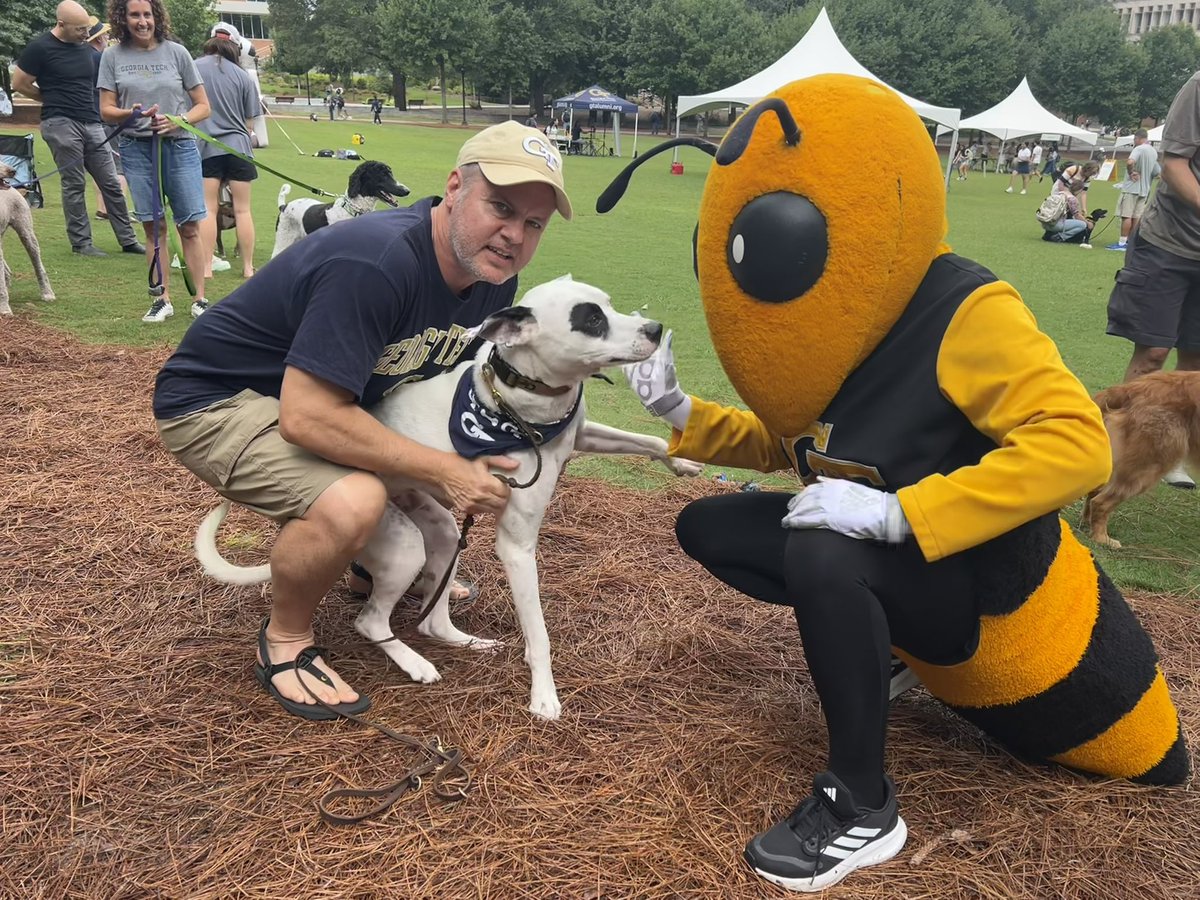 joedom's tweet image. Having fun at @gtalumni  Ramble on the Green with GT Parents with Pups 🐶 #YellowJackets #middleagedgradstudent #georgiatech