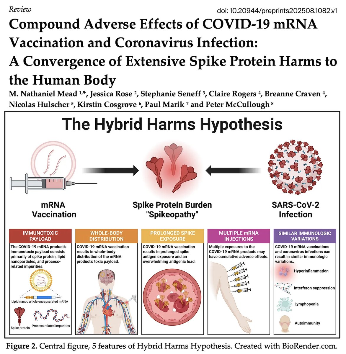 M. Nathaniel Mead, MSc, PhD (@mnathan34403) on Twitter photo Our paradigm-shifting paper, now a preprint, explores how even otherwise "mild" Omicron infections are triggering disease, disability and death in COVID mRNA-vaccinated people. Undergoing peer review. <a href="/stephanieseneff/">Stephanie Seneff</a> <a href="/SecKennedy/">Secretary Kennedy</a> <a href="/McCulloughFund/">McCullough Foundation</a> <a href="/P_McCulloughMD/">Peter A. McCullough, MD, MPH®</a> <a href="/NicHulscher/">Nicolas Hulscher, MPH</a> Our paradigm-shifting paper, now a preprint, explores how even otherwise "mild" Omicron infections are triggering disease, disability and death in COVID mRNA-vaccinated people. Undergoing peer review. <a href="/stephanieseneff/">Stephanie Seneff</a> <a href="/SecKennedy/">Secretary Kennedy</a> <a href="/McCulloughFund/">McCullough Foundation</a> <a href="/P_McCulloughMD/">Peter A. McCullough, MD, MPH®</a> <a href="/NicHulscher/">Nicolas Hulscher, MPH</a>