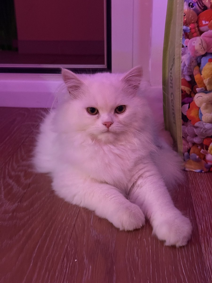 Quanto posso adorare queste due piccole pesti? 🫶🏻