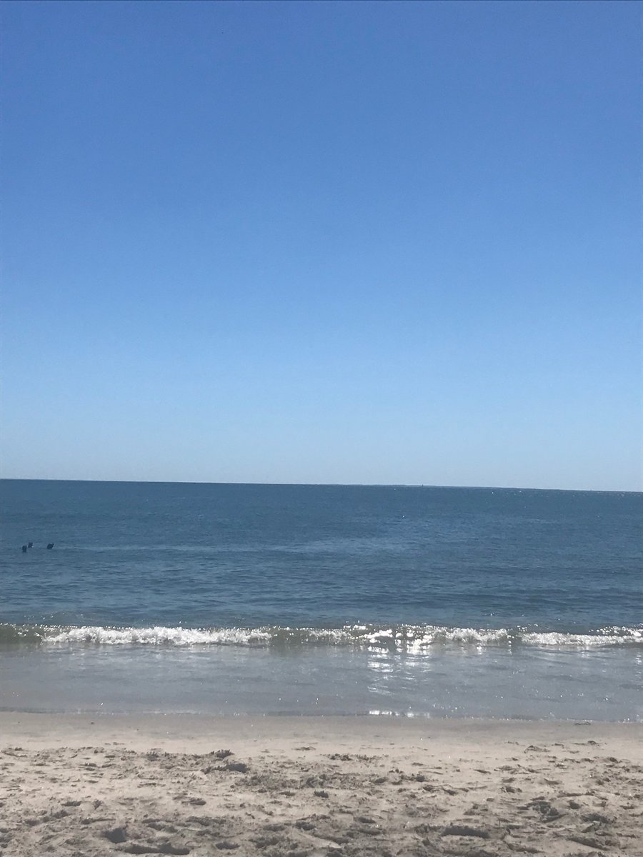 Delisi0nal's tweet photo. Has anyone seen Kaska?? I doodled this at the beach. Yes. I’m still at the beach.
.
#hellmetoc #hellmet #Apollo #KASKASMISSINGWAHHH #HASANYONESEENKASKA??? https://t.co/e9FwftFya8