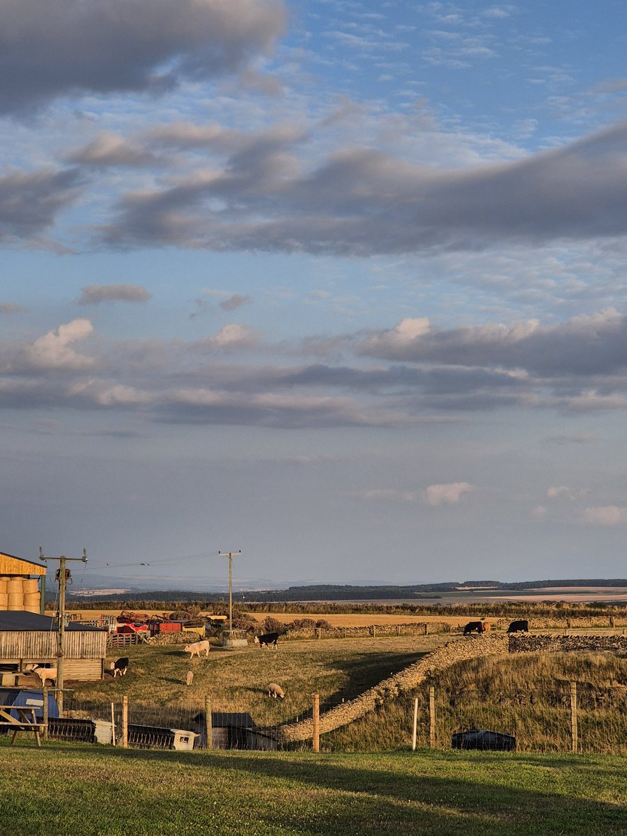 sean watkinson tweet media