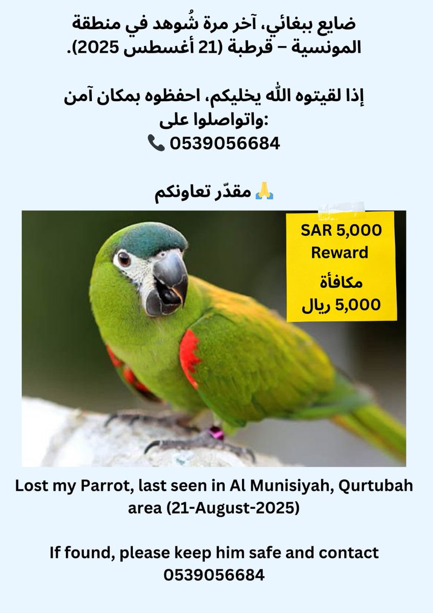 اللي في هذه المناطق