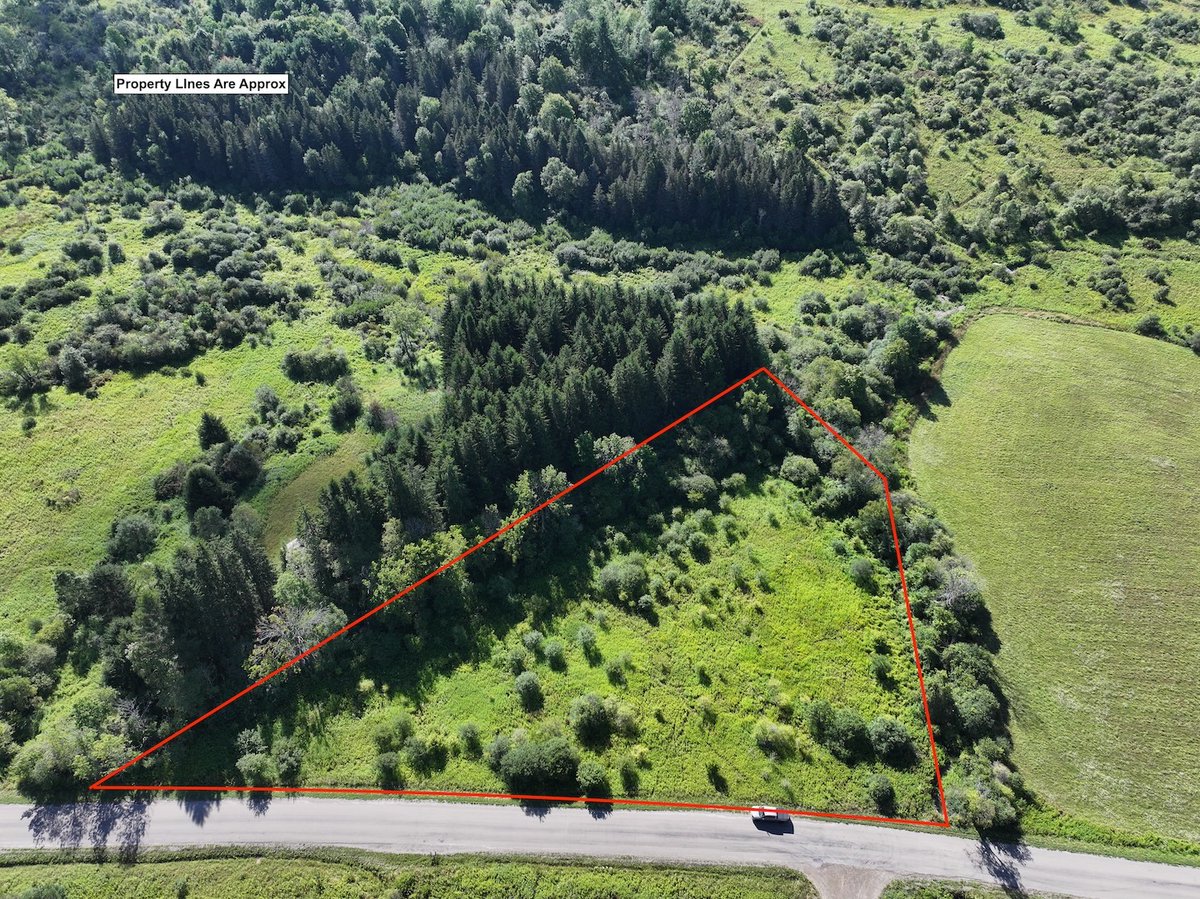 NYLandQuest's tweet image. 2 acres OPEN RECREATIONAL LOT with VALLEY VIEWS in Andover NY.  Perfect location to set up your camp!  The land is mostly level with some shrubs but completely surrounded by woods for privacy.  $17,900.  nylandquest.com/property/lq124… @NYLandQuest #camping #nylandforsale #valleyviews