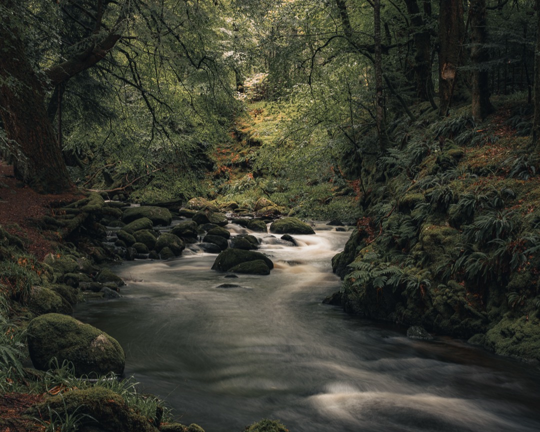 visualsofearth1's tweet image. Scotland