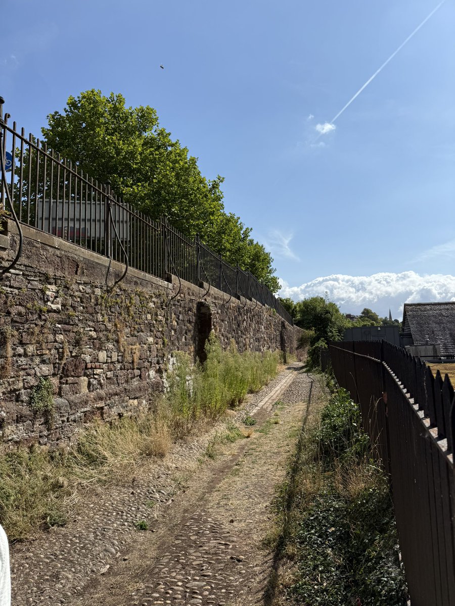 Women’s Committee of the EHS tweet media