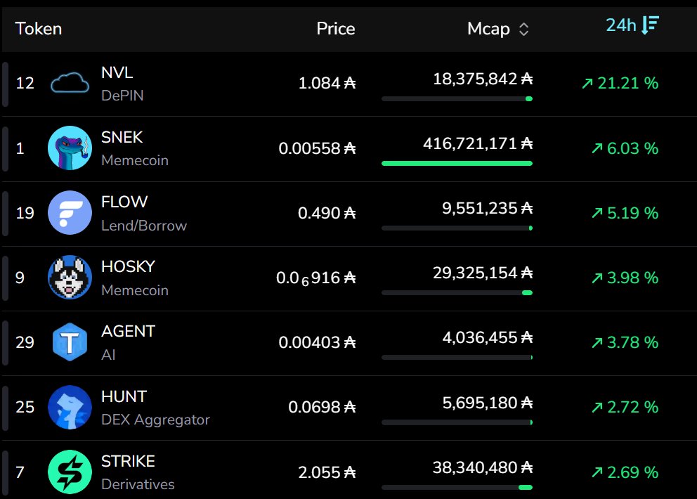 $NVL leading the pack today on Cardano, followed by $SNEK 🔥