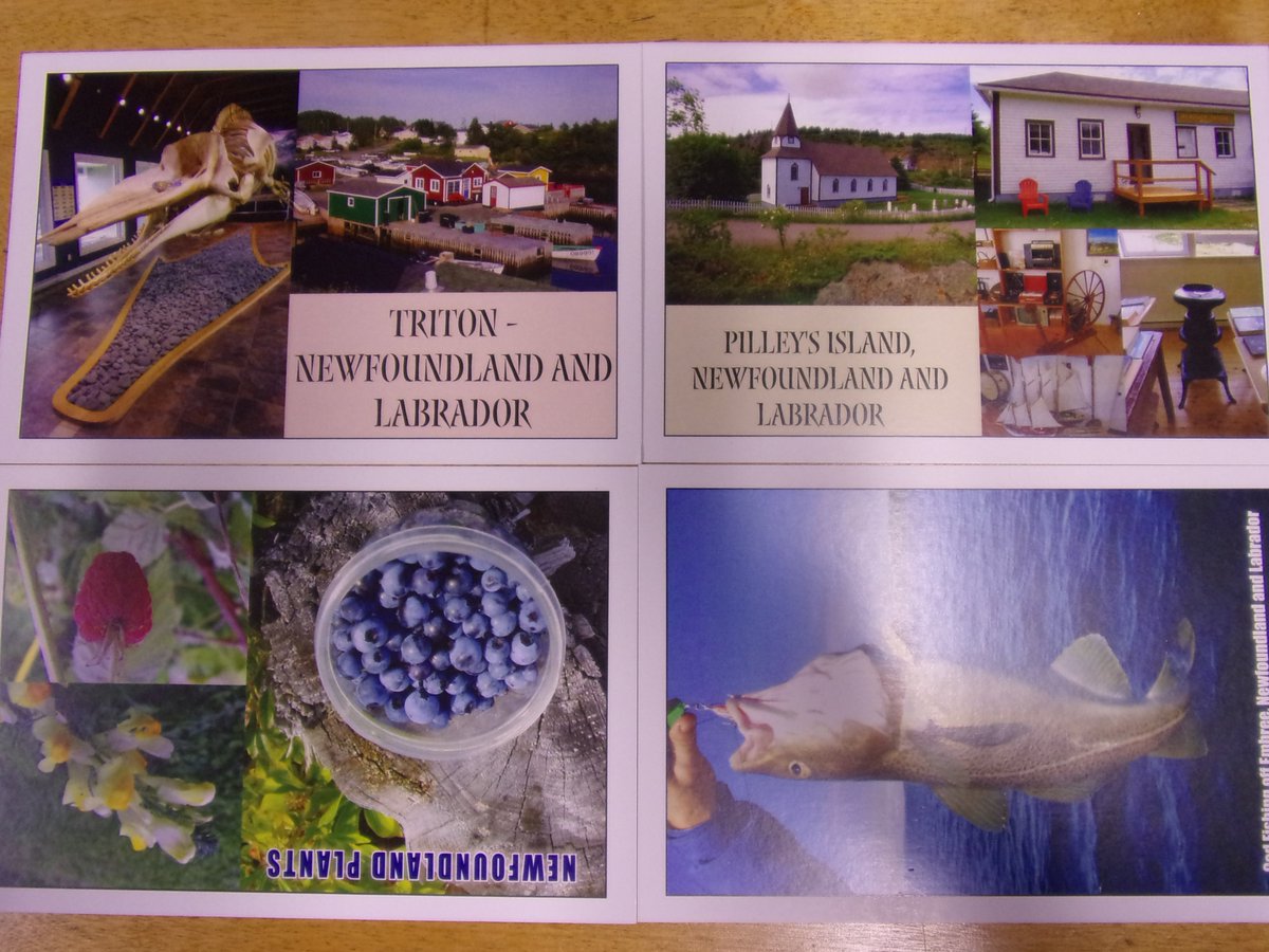 Using my book on #antisealing #culturalviolence against #NFLDLAB to support rural towns &amp; orgs that aim to preserve &amp; promote our heritage today with the last of the royalty was used to make postcards w/ a local press &amp; donated to #Triton  &amp; #PilleysIsland Cards delivered today!