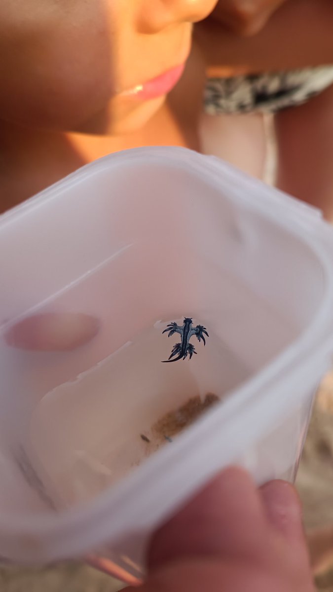 raulrulo94's tweet image. Confirmamos en riguroso directo aquí uno de ellos