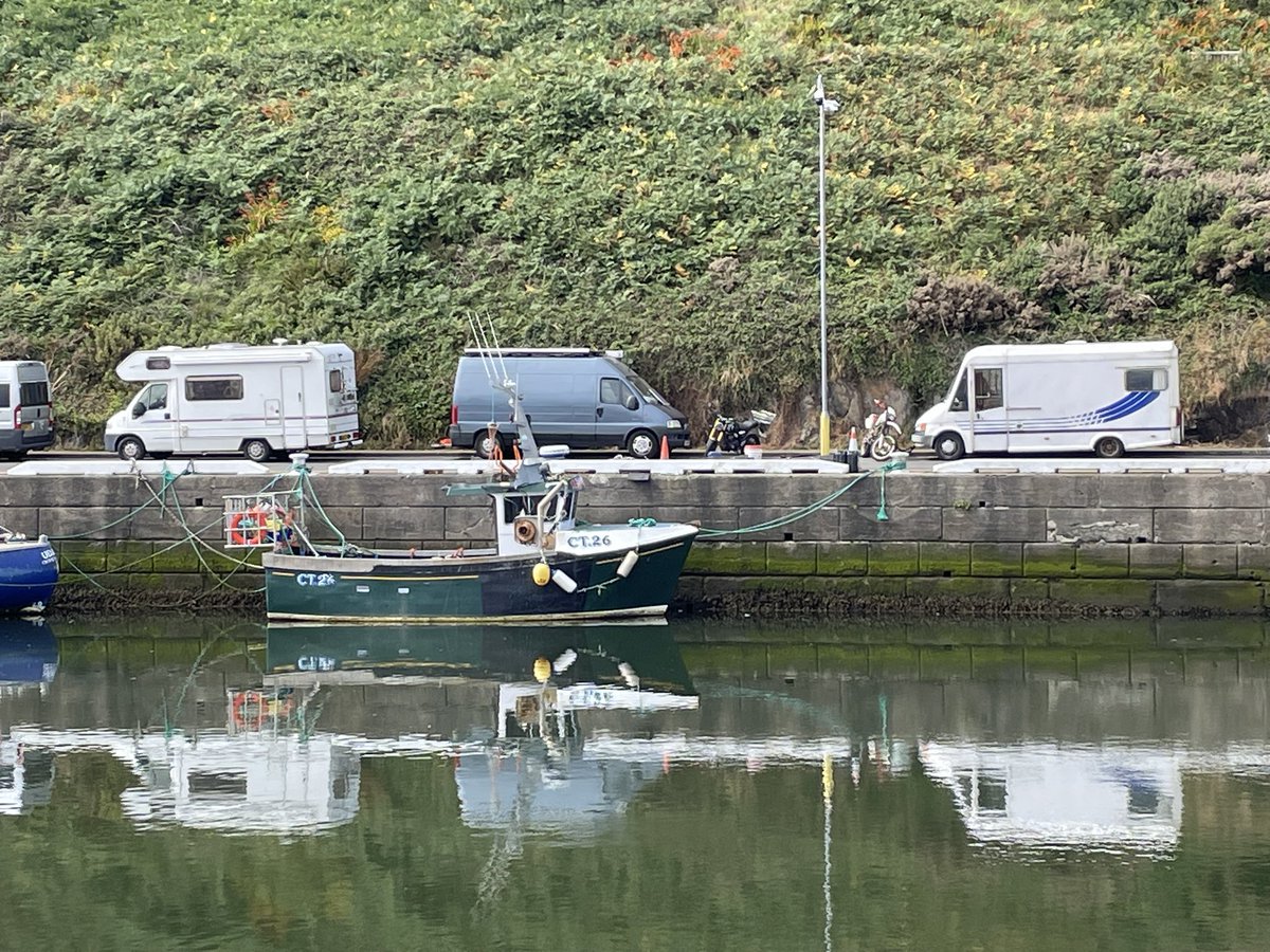 They live among us 😂😂🇮🇲🏍️🗑️ <a href="/crcmotorcycles/">crcmotorcycles</a>