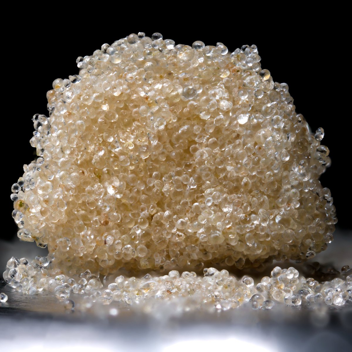 Dry sift from live or cured flower can make amazing products, as good or better than any other solventless technology. Check out this Papaya Rosin caviar from <a href="/WolverineDabs/">Logan 🧙‍♂️⚗️💎</a> 📸 <a href="/surfacearea999/">Marvin Lee</a> with @rosinevolution100 
Made with Plasmastatic- True Solventless