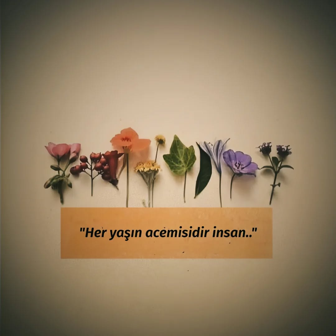 Mavera (@acz_mavera) on Twitter photo 