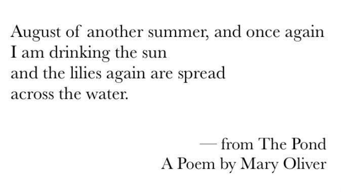 August of another summer.