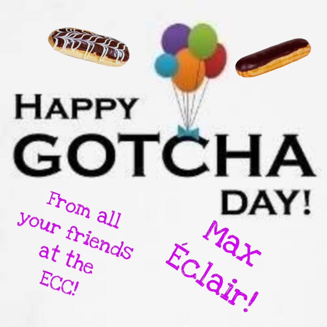 Postman Pappy’& Postman Panfur’s ECC Cards (@eccpostmanpappy) on Twitter photo *Postman Panfur comes in to the PO*
Forgive my lateness
HAPPY BELATED GOTCHA DAY TO OUR LOVELY FRIENDS!
QUEEN BACON TOTS 🥓
PEANUT 🥜
MAX ECLAIR 🍣
FREJA GINGERSNAPS 🍪
WITH LOVE AND PAW HUGS 😺❤️
<a href="/Cat_Queen_Sasha/">Sasha aka da SashieBear</a> <a href="/Peanut28492763/">P E A N U T yeah 🐈⬛</a> <a href="/Merlin80643296/">Merlin🌈&Freyja & Sylvester & Puck</a> <a href="/MaxShelbyElla/">Max, Shelby and Ella</a>
<a href="/EdibleCatsClub/">EdibleCatsClub</a> *Postman Panfur comes in to the PO*
Forgive my lateness
HAPPY BELATED GOTCHA DAY TO OUR LOVELY FRIENDS!
QUEEN BACON TOTS 🥓
PEANUT 🥜
MAX ECLAIR 🍣
FREJA GINGERSNAPS 🍪
WITH LOVE AND PAW HUGS 😺❤️
<a href="/Cat_Queen_Sasha/">Sasha aka da SashieBear</a> <a href="/Peanut28492763/">P E A N U T yeah 🐈⬛</a> <a href="/Merlin80643296/">Merlin🌈&Freyja & Sylvester & Puck</a> <a href="/MaxShelbyElla/">Max, Shelby and Ella</a>
<a href="/EdibleCatsClub/">EdibleCatsClub</a>
