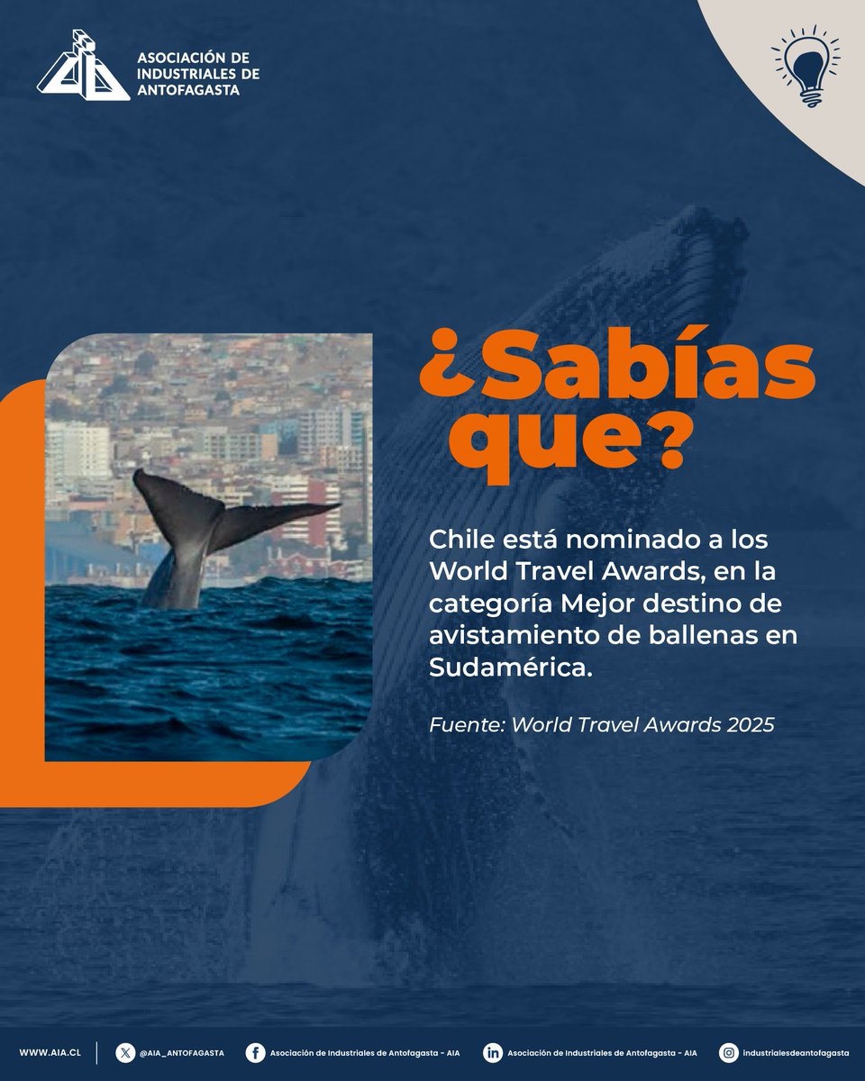 💡 ¿Conocías este dato?
💬 Déjanos tu opinión en los comentarios.

#AIA #Antofagasta #Ballenas #Turismo #Chile #WorldTravelAwards