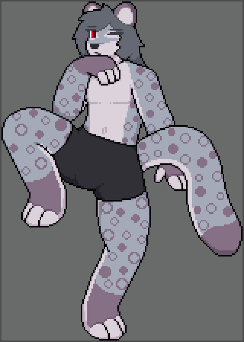 My sona as snow Leopard
