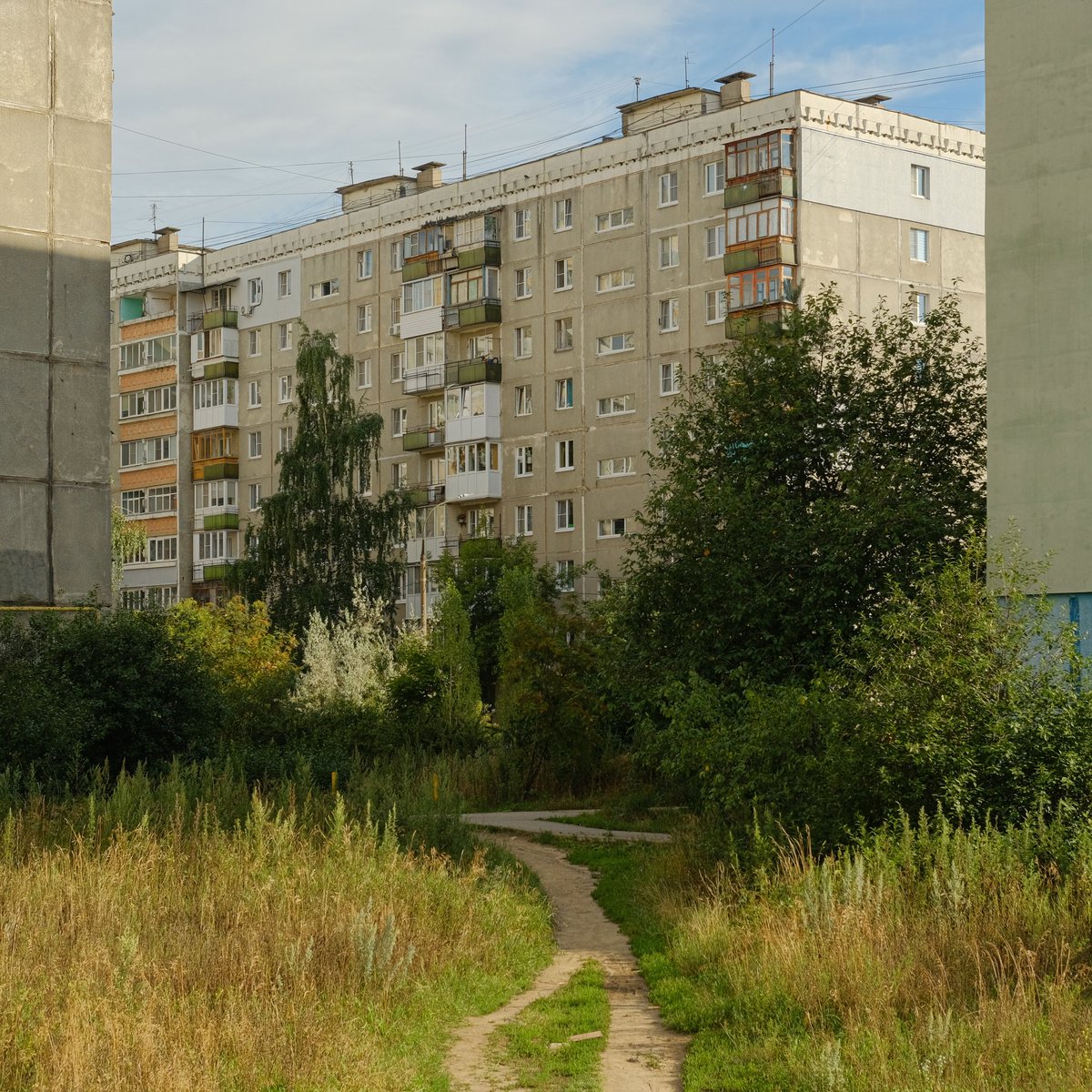 перекати-тело tweet media