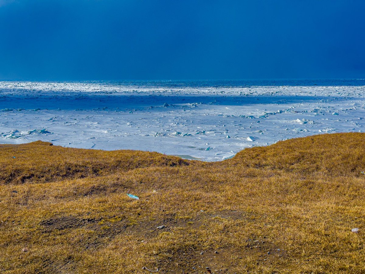 C_Tulai's tweet photo. Three frames from Utqiaġvik, Alaska

Shot on iPhone 14 Pro Max
June 7, 2025 — Gold tundra, cobalt ice
June 22, 2025 — Midnight sun over sea ice
July 14, 2025 —  Sea Ice &amp; still pools
Edited on Lightroom

#Alaska #Arctic #MidnightSun #shotoniphone https://t.co/3yv6kIz2lX