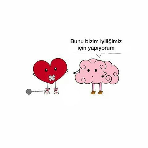 akıl ve kalp arasında (@hearttbrain) on Twitter photo 