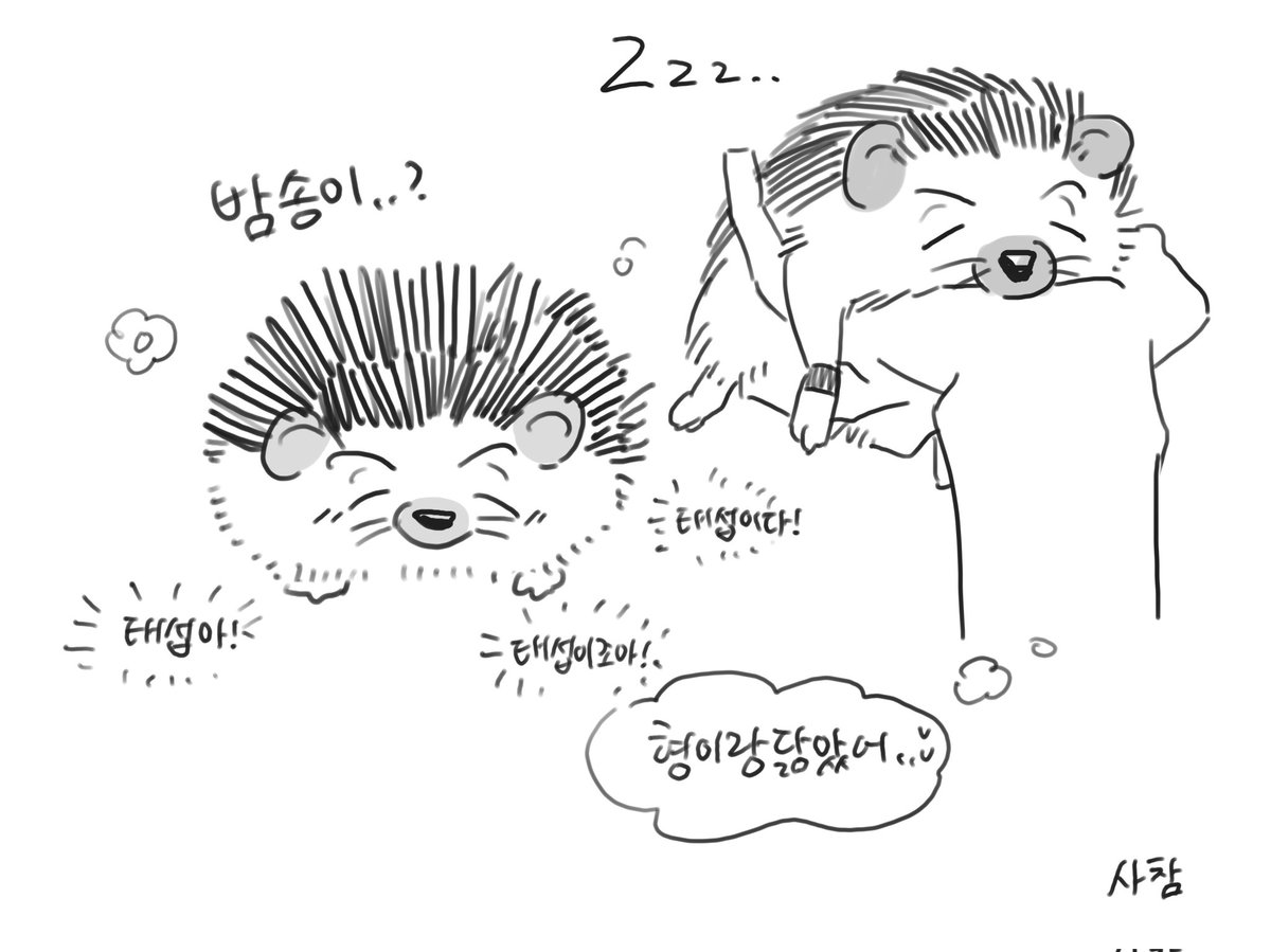 왕옹왕 (@wang0ngwang) on Twitter photo 