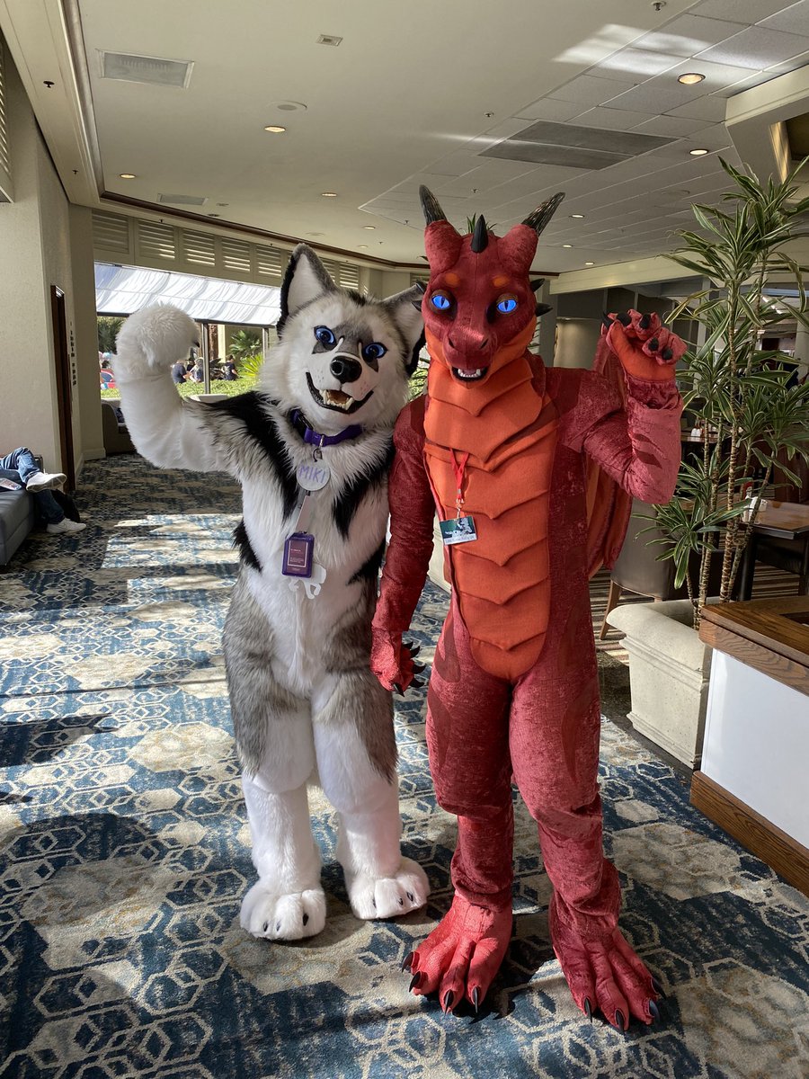 Huskies and Dragons - one can't follow instructions, the other one won't.
#FursuitFriday 🐕 <a href="/Pup_Leo/">Kory💜Miki💙Razz ➡️ AFC</a>