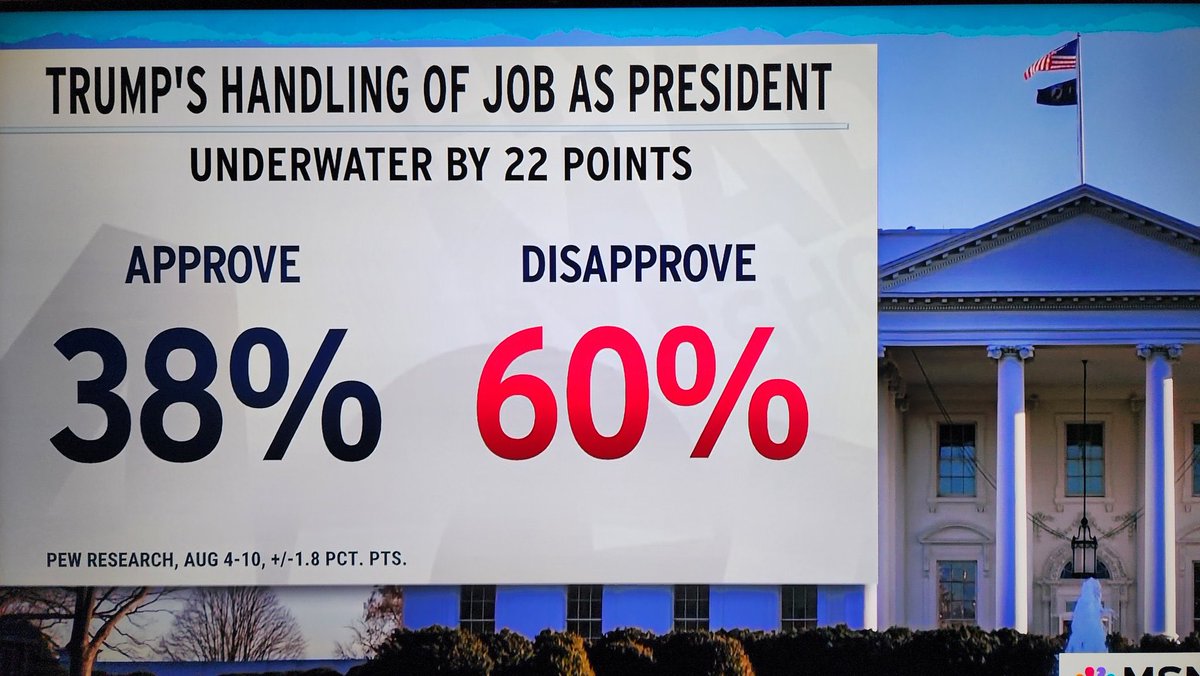 Sean McDaniel tweet media