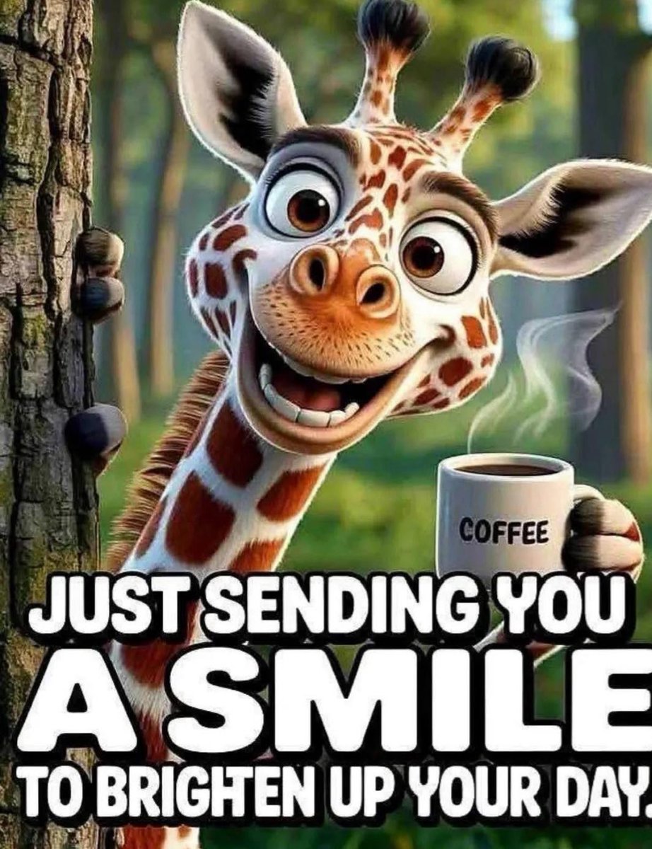 Dave Paulus tweet media