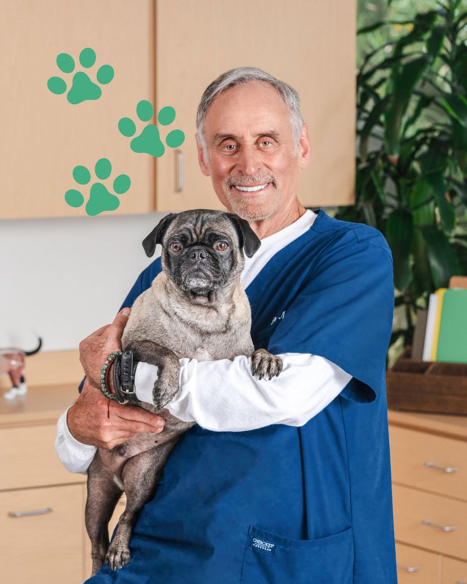 Happy Friday from Dr. Marty and his adorable friend! 🐶💛 Wishing you a weekend full of belly rubs, tail wags, and all the good stuff (like Nature’s Blend 😉).

#DrMartyPets #HappyFriday #PugLove #WeekendVibes #DogJoy #NaturesBlend #DogsOfInstagram #FreezeDriedRaw #PugLife