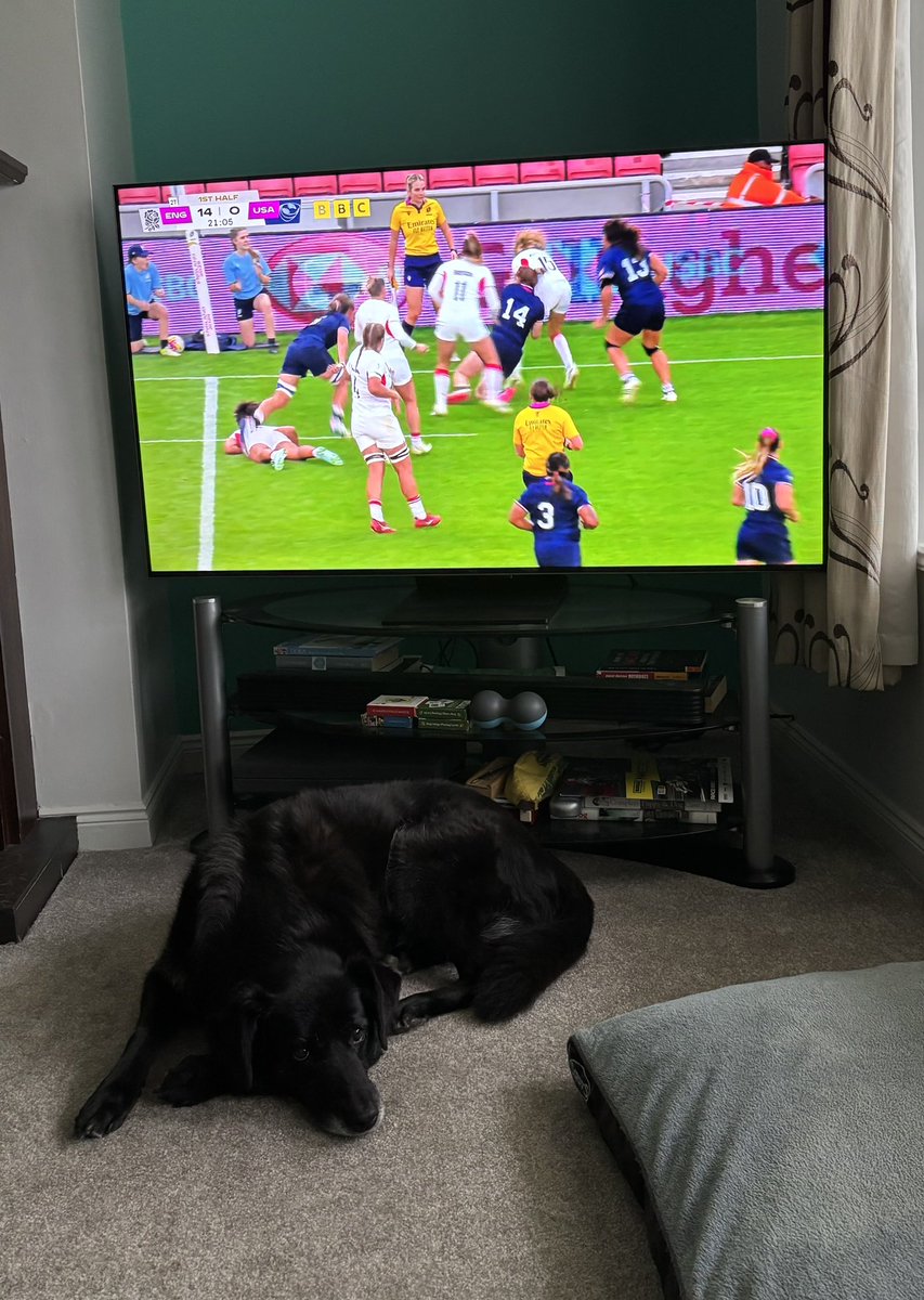 Happy Friday <a href="/DecPierce/">Declan Pierce</a> 
Tuned in #BlockRockinBeats while watching first match of the women’s rugby World Cup. 
How about Sandstorm and a shout out to our girls in green playing their first match v Japan on Sunday ☘️🏉☘️🏉☘️ <a href="/IrishRugby/">Irish Rugby</a> #GreenWave