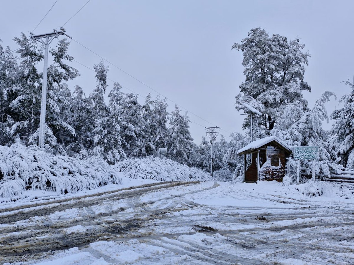 ☃️#Lumaco Cruce Los Laureles, Provincia de Malleco.

<a href="/Sepulinares/">Alejandro Sepúlveda Jara</a> <a href="/reddeemergencia/">Red de Emergencia ONG</a> <a href="/Seba_Sismos_CL/">Seba Sismos CL</a> <a href="/RNE_Alpha_8/">Carlos Coray</a> <a href="/RedGeoChile/">Red Geocientífica de Chile</a> <a href="/cleivamoris/">🚨🚨Claudio Leiva Moris 🚒🚒🇵🇸</a>