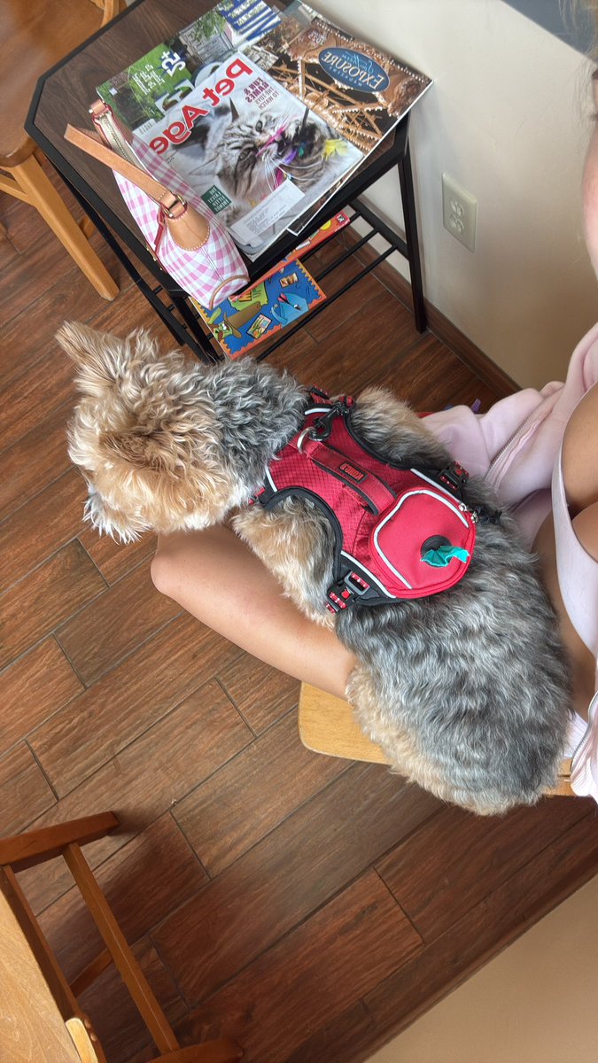 princess penelope tweet media