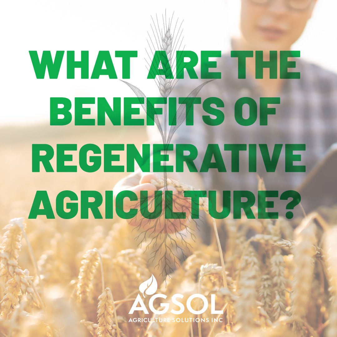 🌱 What Are the Benefits of Regenerative Agriculture?

Every farm is unique, and so are the many ways we build healthier soils and stronger crops. Whether it’s cover cropping, reduced tillage, or using products that support healthy plant growth, even conventional growers can take