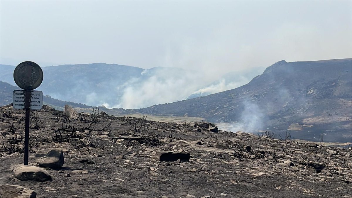 🖤 #Sanabria, un paraíso hecho cenizas.

A medida que el #IFPorto se estabiliza empiezan a divisarse las consecuencias del fuego en parajes emblemáticos del Parque Natural del Lago de Sanabria. 

🔴 Puedes seguir la última hora del incendio aquí: goo.su/KpN9L

#Zamora