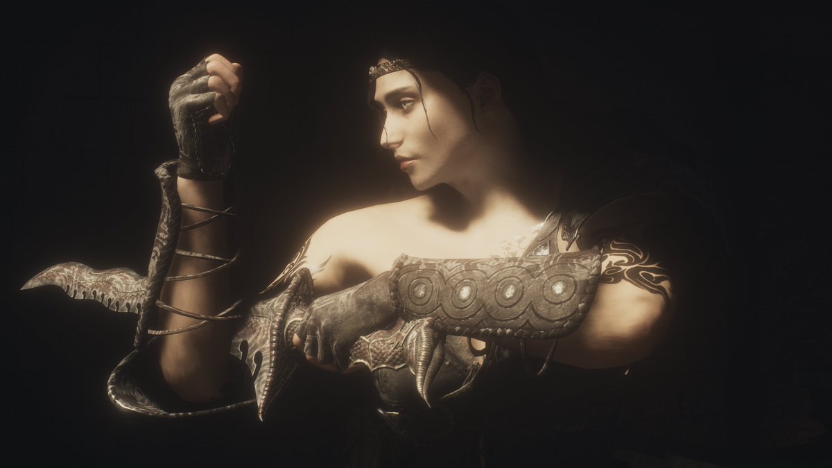 A Dagger in the Dark.

#virtualphotography #DragonsDogma2 #DragonsDogma #ドラゴンズドグマ2 #ドラゴンズドグマ #DD2