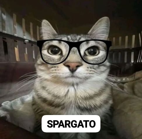 Aeter_Nix's tweet photo. ¡¡SPARGATO!! @Sparg0ssb https://t.co/lPf9nMyuuy