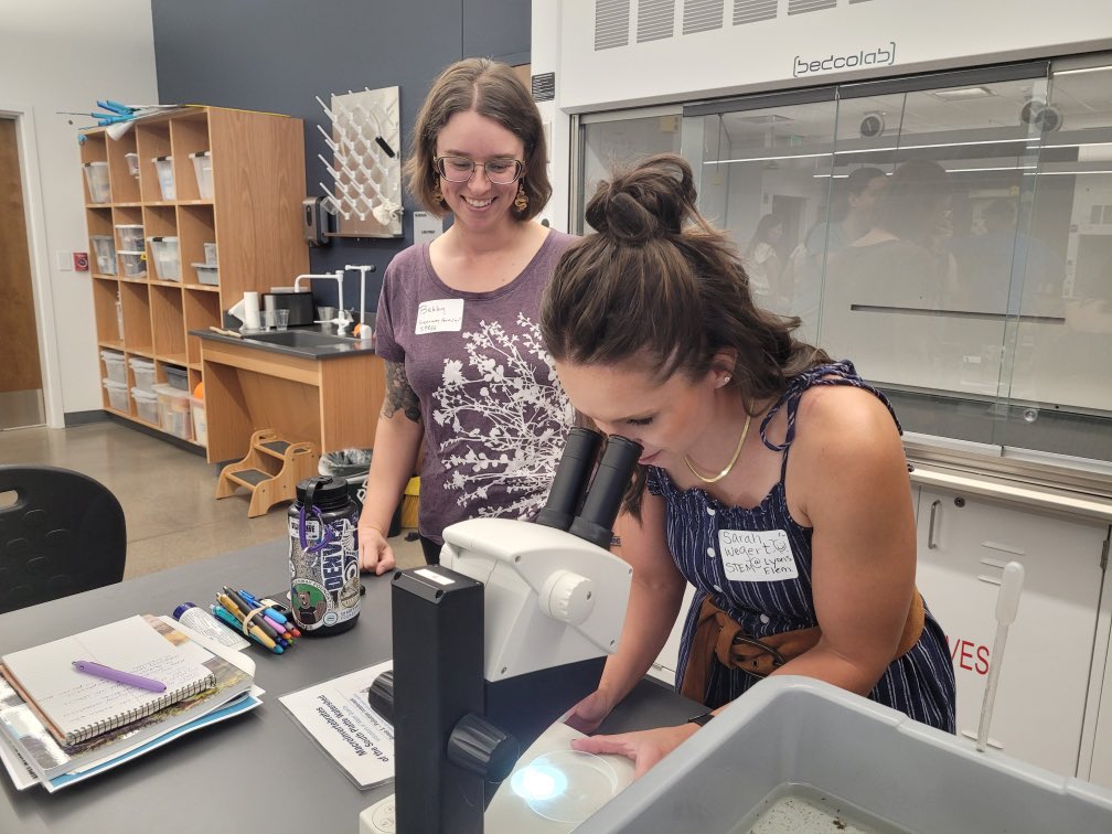 Sarah L Wegert 😎 tweet media