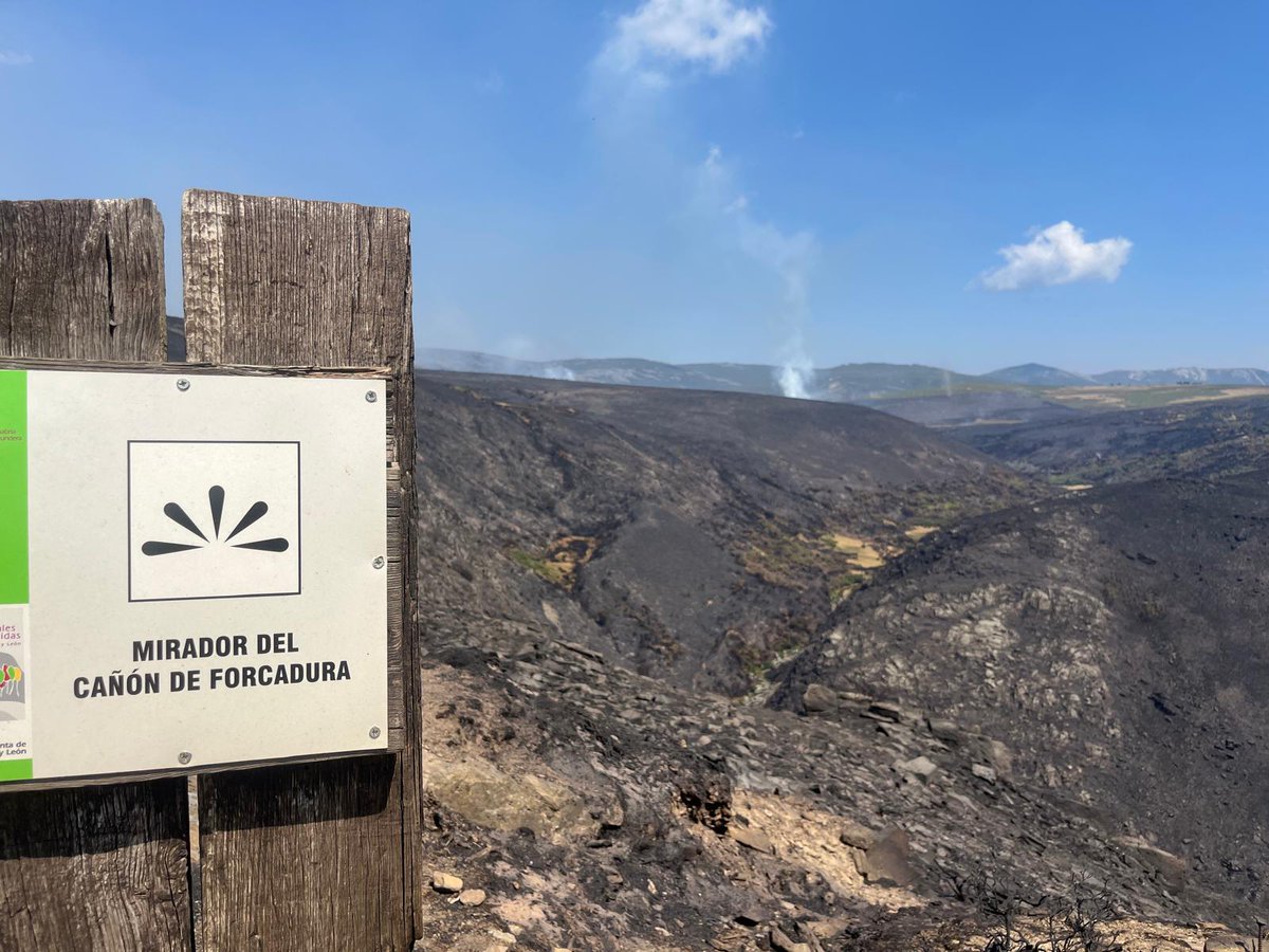 LA OPINIÓN DE ZAMORA tweet media