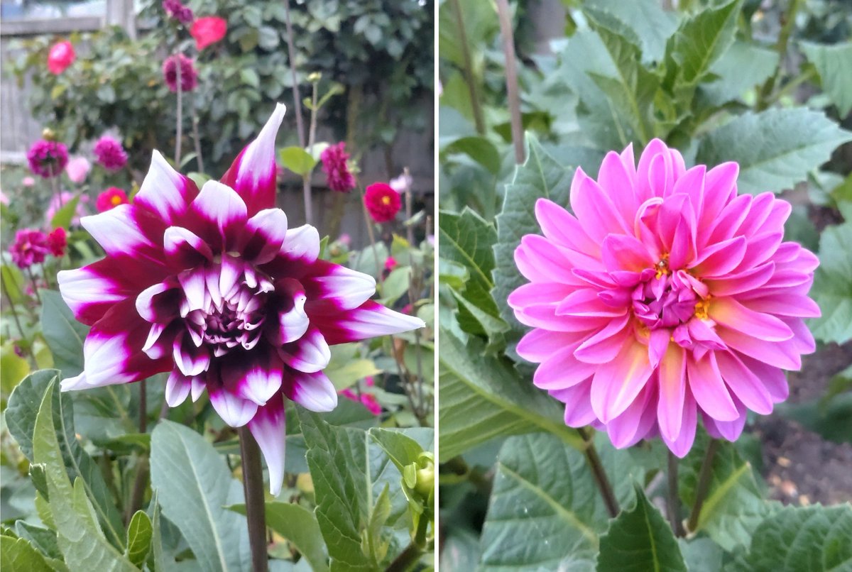 Leigh Sadler 🧐 tweet media