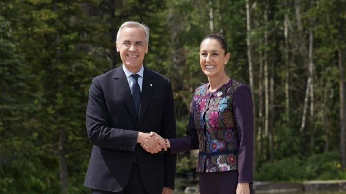 Opinión La Silla Rota tweet media