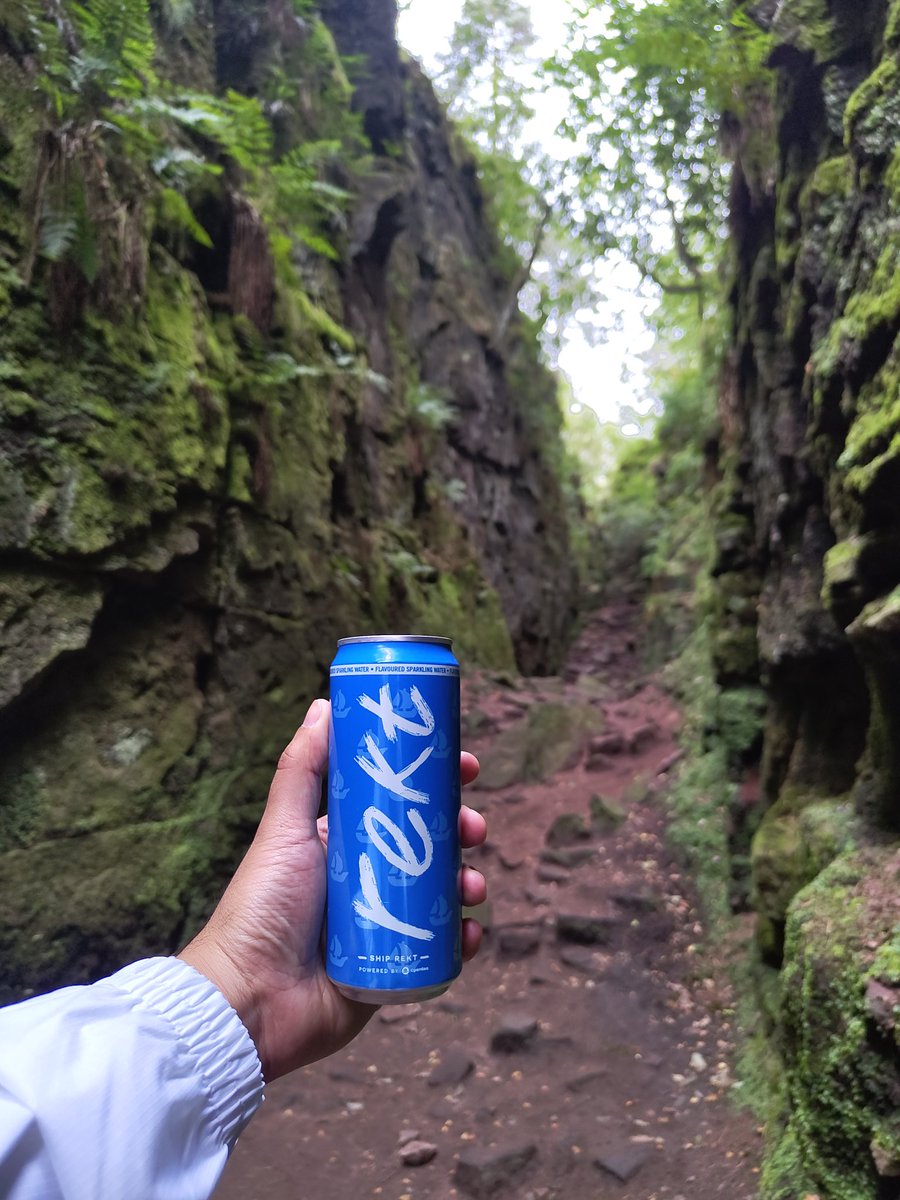 Took a hike today and was hydrated by $REKT drinks 💪