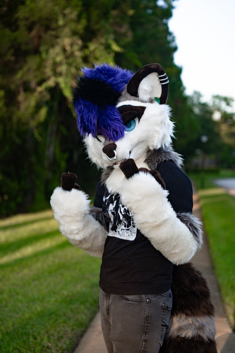 Pammazord (@pammazordvr) on Twitter photo Wow, I can finally do this! I am become Raccoon. :3
#FursuitFriday
๐งต: <a href="/lemonbrat/">Lemonbrat@Anthrocon! ๐๐๐</a> Wow, I can finally do this! I am become Raccoon. :3
#FursuitFriday
๐งต: <a href="/lemonbrat/">Lemonbrat@Anthrocon! ๐๐๐</a>