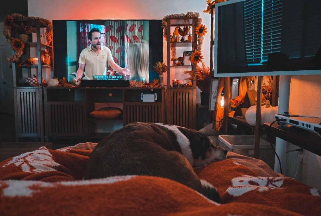 Jambo 🐻 tweet media