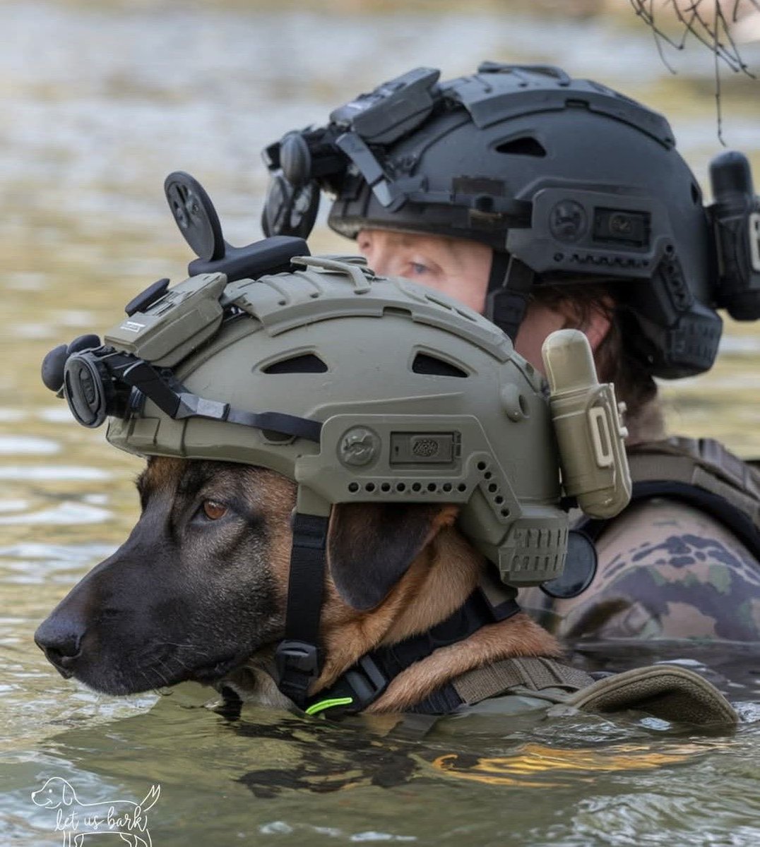 Puppies 🐶 tweet media