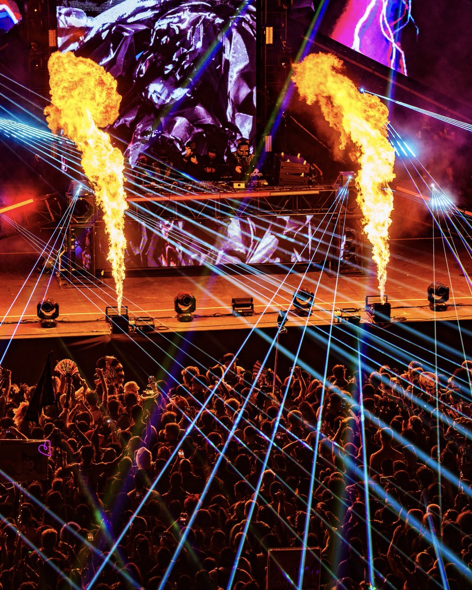 Nocturnal Wonderland tweet media