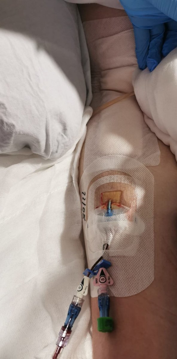 Daniel González tweet media